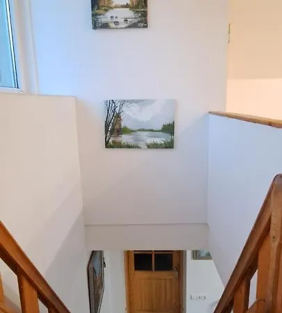 Cozy Small House With Spacious Backyard Apartment